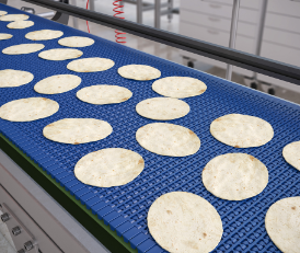 590-Series KleanTop Kunststoff-Mattenkette