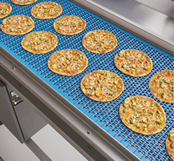 Rexnord Dual Detectable-Material